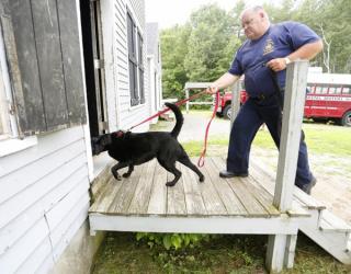 Maine trains dogs to sniff & detect arson